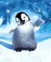 HAPPY FEET 