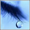 tear drop