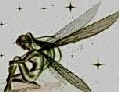 FAERY