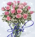 Pink Roses in vase (with sparkles)- Steph