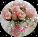 Pink Roses in Teapot in circle (with sparkles)- Steph