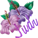 Judi