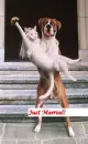 JUST MARRIED