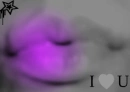 kisses