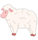 sheep