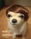 adorable!