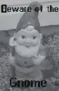 BeWaRe Of ThE gNoMe &hearts; 