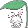 Cute Bunny