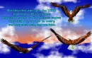 Isaiah 40:31