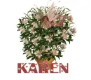 Karen