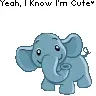 Elephant Dance