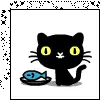 Black Cat