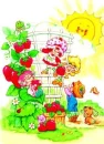 sunny day