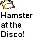 Hamster