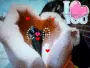 cody loves angel