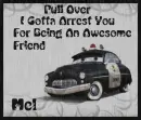 police car