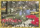spring day 