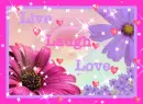 pink and purple flower