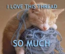 kitty playing with thread