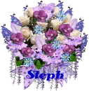 steph