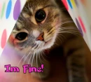 I'm fine