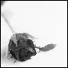 Let death take me 