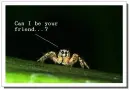 Can I be your friend ..?