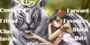 Tiger Girl