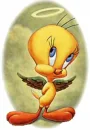 TWEETY(ANGEL)
