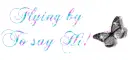butterfly
