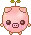 pig