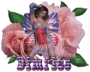 Fairy Pink Rose - Dimples