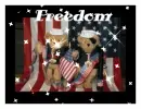 two teddy bears with the american flag