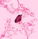 lovely background