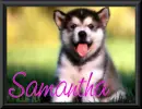Samantha