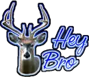 Hey Bro