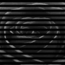 black rose with stripes