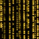 gold and black