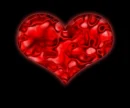 gore heart