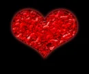 gore heart