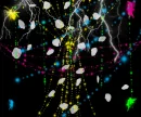 neon mess
