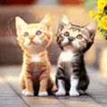 cute