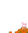 Bunny in Carrots