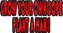 plant a man