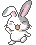 cute bunny