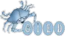 Gied blue crab