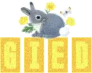 Gied rabbit 