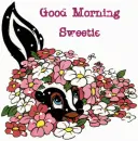 GOOD MORNING
