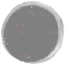 grey blendy thingy
