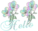 hello